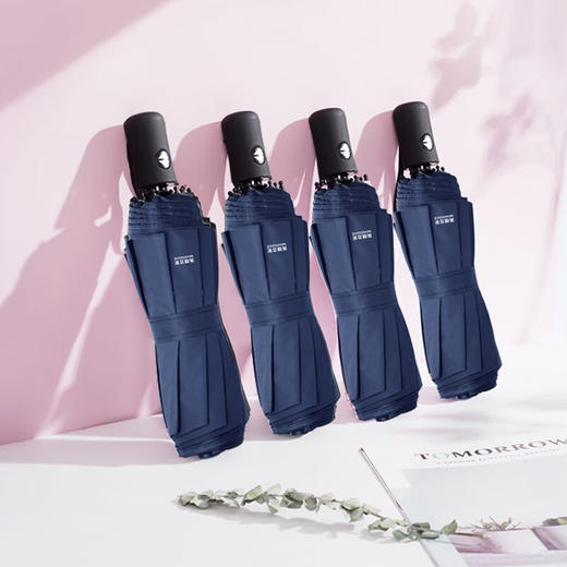 美穗吉家 21寸自动晴雨伞 藏蓝色 商品图1