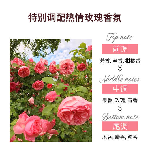 【你的肌肤“加湿器”来咯】蜜斯莉维生素E花香身体乳，让肌肤感受天然花香，补水保湿滋肤润持留久香伪体香QQ 商品图3