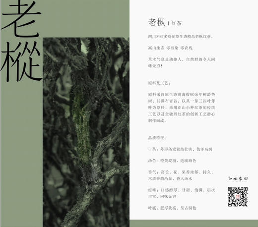 一叶蒙山·老枞 100g 商品图2
