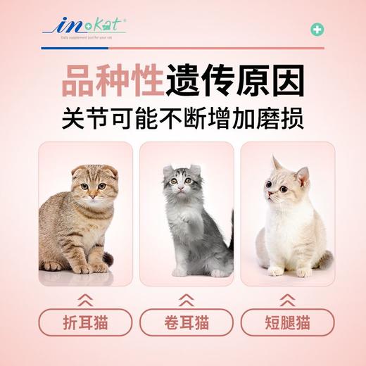 麦德氏 绿贻贝 关节安 150g/瓶 商品图3