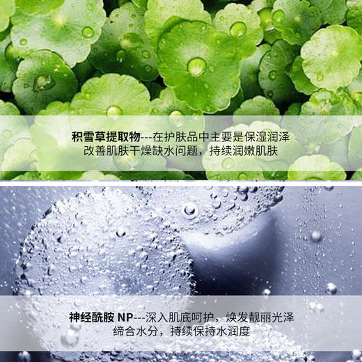 冰肤之萃冻干水光透亮睡眠面膜补水保湿涂抹面膜紧致肌肤免洗面膜 商品图2