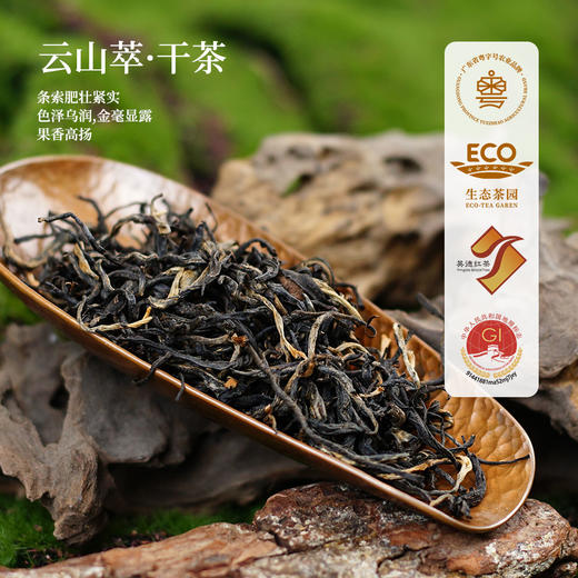 英红农夫经典传统风味英红九号云山萃品质优选英德红茶（30g） 商品图3