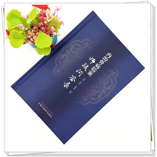 内治骨病验案师徒问答录 刘康 周航 史晓林 主编 中国中医药出版社 商品图1