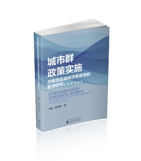 城市群政策实施对南北区域经济收敛性的影响研究