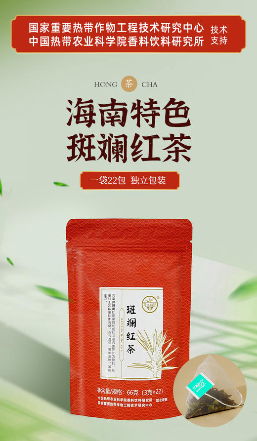 海南兴科斑斓红茶66g/斑斓绿茶66g/兴隆热带植物园/海南特色风味茶 商品图2