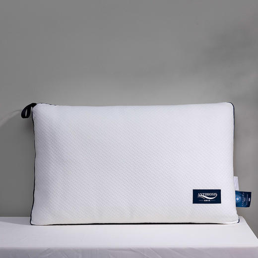 【远梦】抗菌针织水洗枕 商品图1