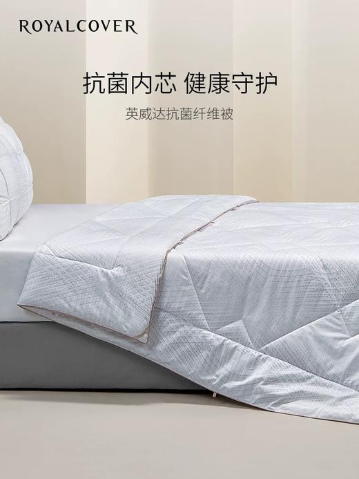 【ROYALCOVER】罗卡芙英威达七孔纤维保暖透气全棉抗菌纤维被 贝尔纳 商品图0