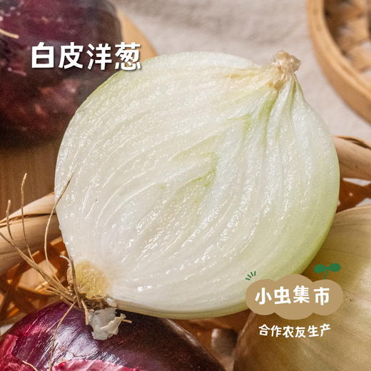 新疆有机三色洋葱 5斤（紫/黄/白三色）| 合作农友生产，产自新疆库尔勒，生产者：王忠军 *【公平贸易农人定价】 商品图8