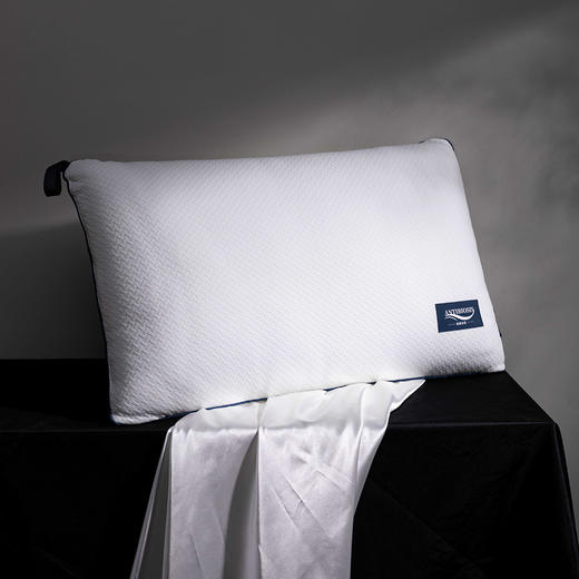 【远梦】抗菌针织水洗枕 商品图2