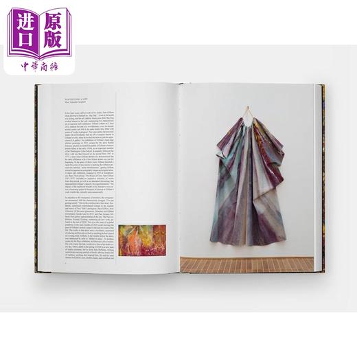 预售 【中商原版】Sam Gilliam 进口艺术 美国抽象画家萨姆吉列姆 Phaidon Press 商品图2