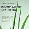 冰肤之萃沁润舒缓凝胶 施逅芦荟胶300g 补水保湿 沁润滋润 水感清爽呵护肌肤 芦荟凝胶膏 商品缩略图2