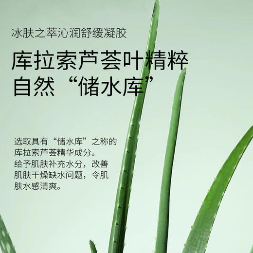 冰肤之萃沁润舒缓凝胶 施逅芦荟胶300g 补水保湿 沁润滋润 水感清爽呵护肌肤 芦荟凝胶膏 商品图2