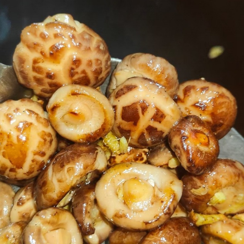 神农架房县椴树小花菇