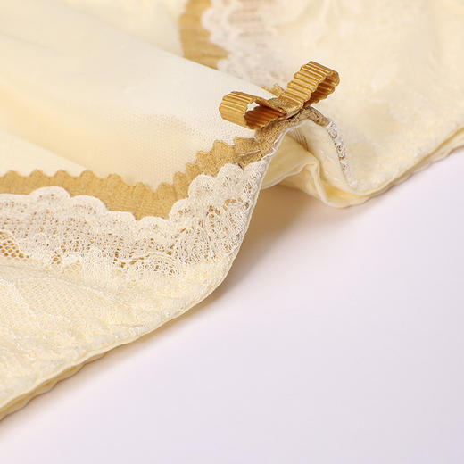 都市丽人内裤薄透丝滑平角裤蕾丝+泳布女士内裤YPT2C1 商品图6