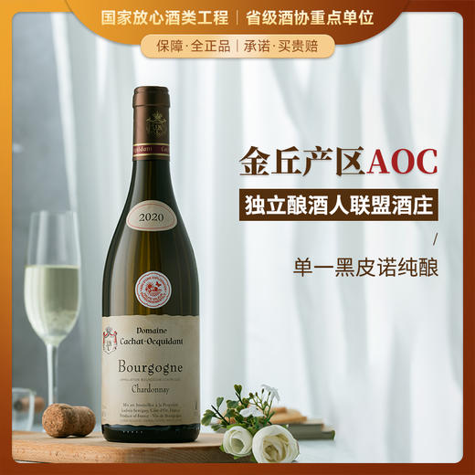 【勃艮第金丘AOC】 菲特瓦凯撒世家干红葡萄酒 AOC等级 13%vol 商品图0