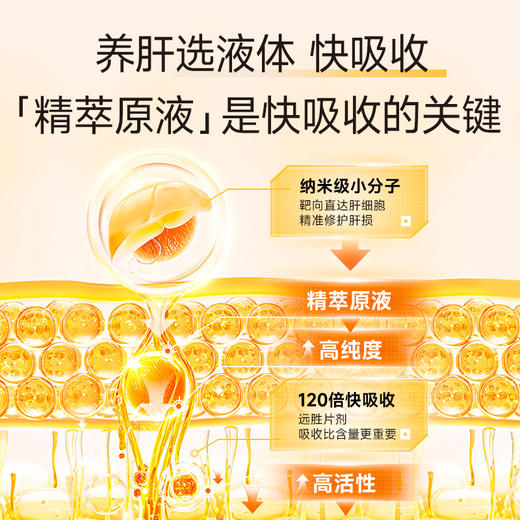 [体验装][AMeri vita]亚美唯他 护肝饮 7条/盒 净旰水飞蓟奶蓟草姜黄解酒熬夜养肝正品 商品图2