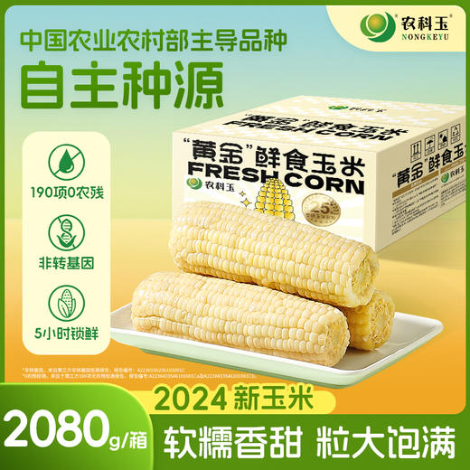 [屁侠推荐]农科玉九哈黄金甜糯玉米 2024新玉米 8根装260g/根 商品图1