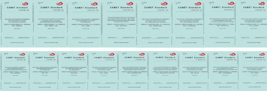 轨道交通团体标准（英文版）17册 商品图0