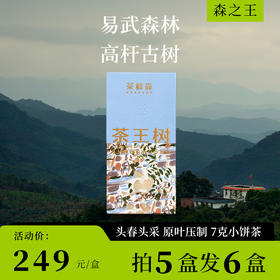 2024茶王树 森之王 春茶现货  普洱茶 生茶 14g/盒