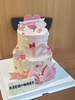 公主风主题蛋糕，全部可食用翻糖装饰，请提前三天预定哦 商品缩略图2