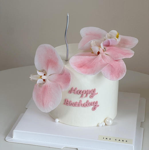 蝴蝶兰C 商品图2