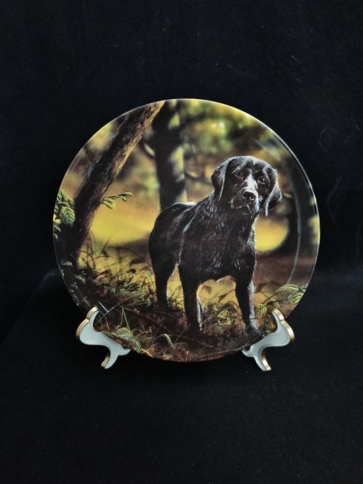 英国威基伍德骨瓷赏盘，John Silver创作的黑色拉布拉多系列 商品图0