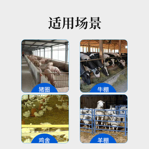 【积分兑换】华畜纤维蚊蝇香20单盘养殖场专用摔不烂蚊香蚊蝇双通杀 商品图3