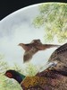英国皇家格拉夫顿限量骨瓷赏盘，Derek Braithwaite的猎鸟系列 商品缩略图2