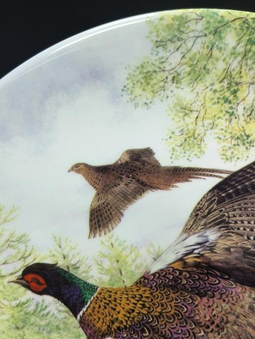 英国皇家格拉夫顿限量骨瓷赏盘，Derek Braithwaite的猎鸟系列 商品图2