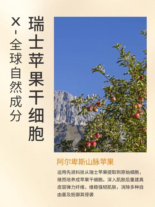 【抚淡细纹 煥活肌底】鎏金凝时四件套（水+乳+精华+霜）#鎏金凝时水乳套装淡纹补水控油妈妈保湿提拉紧致正品护肤品女 商品图1