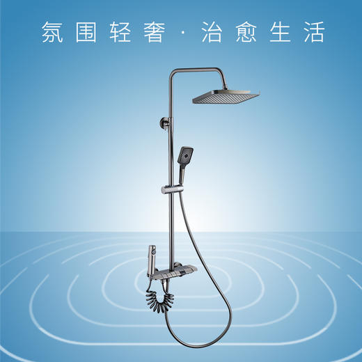 桑乐(SANGLE)卫浴花洒SH7013Q 商品图0