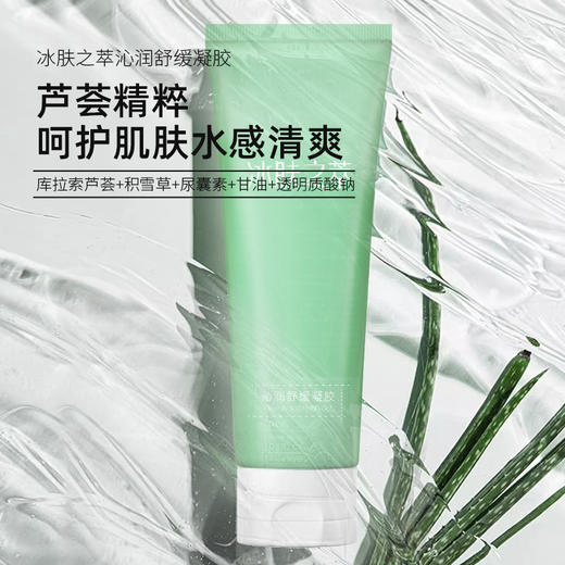 冰肤之萃沁润舒缓凝胶 施逅芦荟胶300g 补水保湿 沁润滋润 水感清爽呵护肌肤 芦荟凝胶膏 商品图0