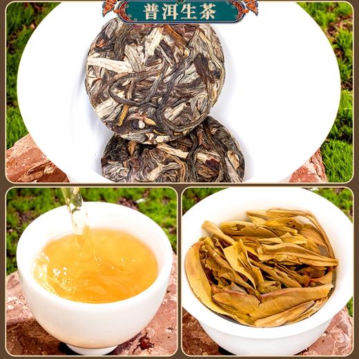 金骏眉红茶普洱茶组合配一壶四杯 商品图4