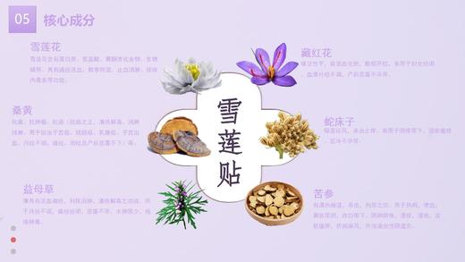 plws-雪莲净养贴(12片装) 商品图4