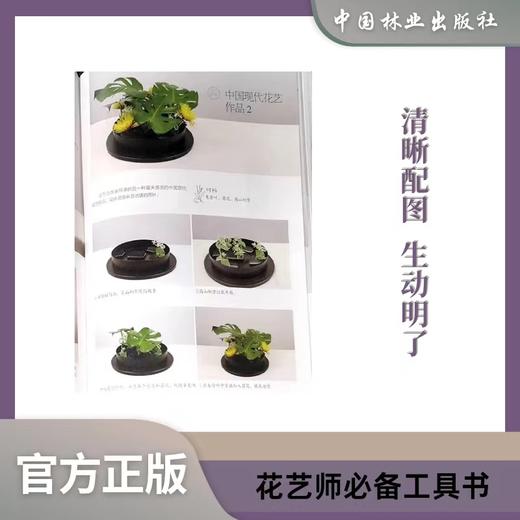 全能花艺技法与设计百科合集  1738 商品图1