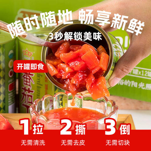 【25年新货】新疆冠农番茄丁400g 零添加 新鲜去皮 西红柿 番茄      京东/顺丰发货   不接受指定 商品图3