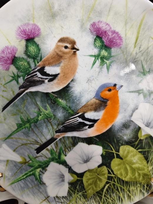 英国皇家道尔顿限量鸟类骨瓷赏盘，由Maurice J. Pledger创作的树篱间的鸟系列 商品图7