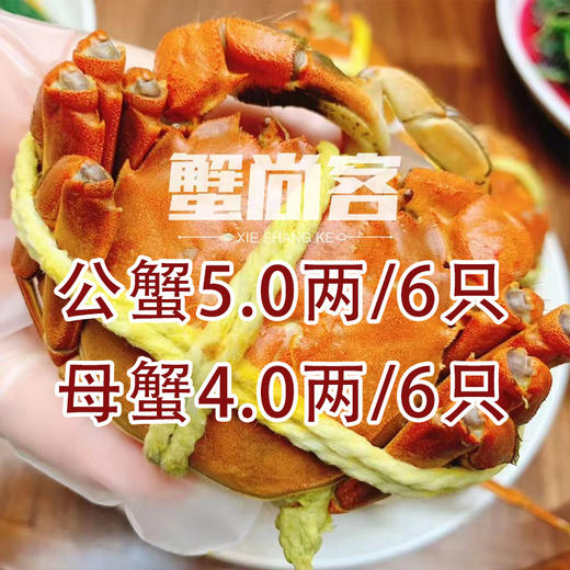 蟹尚客大闸蟹兑换卡 商品图0