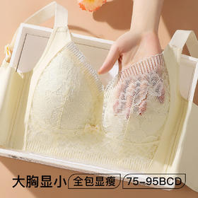 大胸显小轻薄透气蕾丝内衣女全包显瘦收副乳无钢圈文胸罩醉落风花