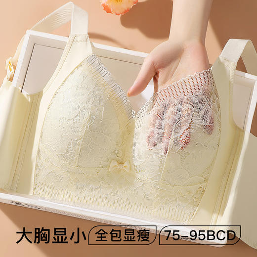 大胸显小轻薄透气蕾丝内衣女全包显瘦收副乳无钢圈文胸罩醉落风花 商品图0
