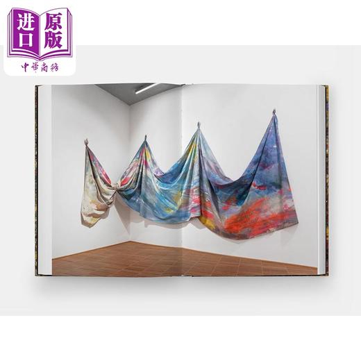 预售 【中商原版】Sam Gilliam 进口艺术 美国抽象画家萨姆吉列姆 Phaidon Press 商品图1