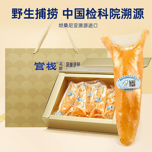 【限时特惠】官栈×深度逆转溯源6A黄花鱼胶干花胶180g 商品图1