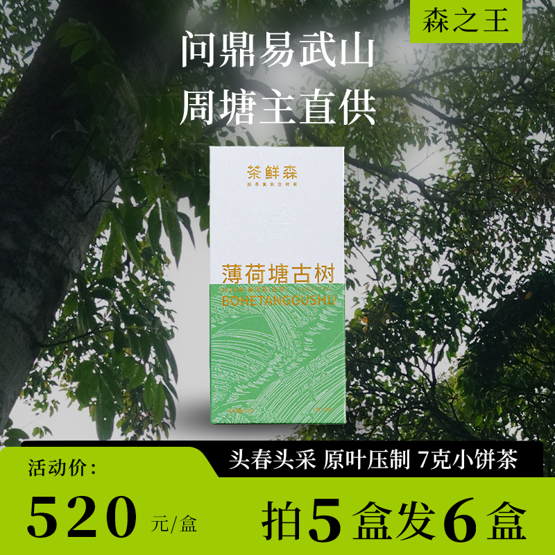 2024薄荷塘古树 森之王 春茶现货 普洱茶 生茶 14g/盒