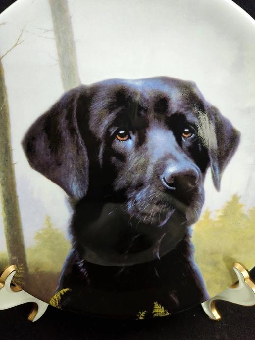 英国威基伍德骨瓷赏盘，John Silver创作的黑色拉布拉多系列 商品图4