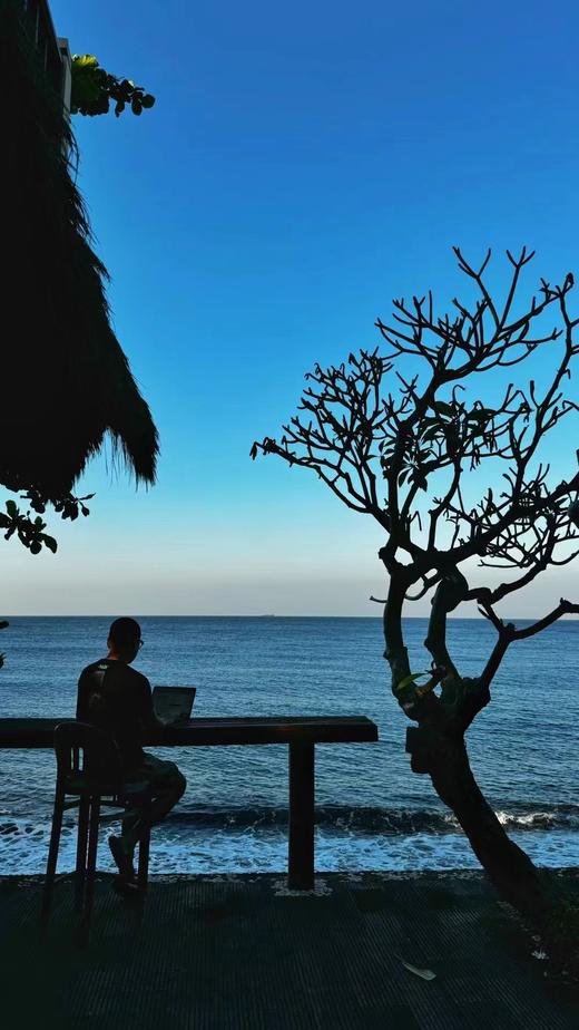 PADI 潜水与可持续生活方式分享 | YIN隐 会员活动 商品图6