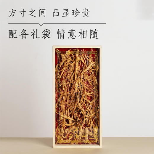 26-30年老残参 商品图2