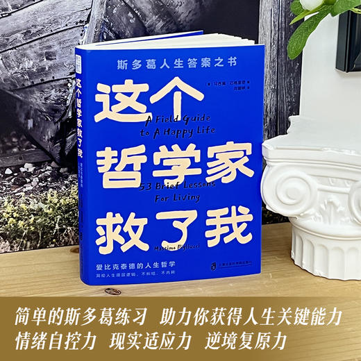 这个哲学家救了我：爱比克泰德的人生哲学  斯多葛人生答案之书 商品图3