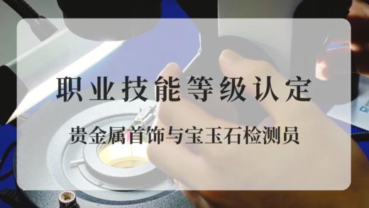 贵金属首饰与宝玉石检测员五级线上定制课程 商品图0