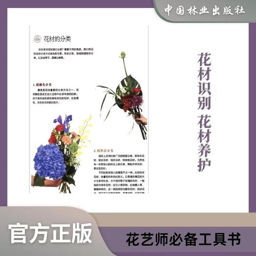 全能花艺技法与设计百科合集  1738 商品图2