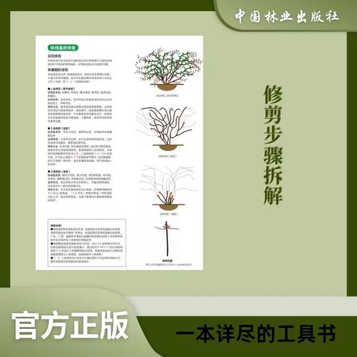 花园植物大图典1532 商品图2